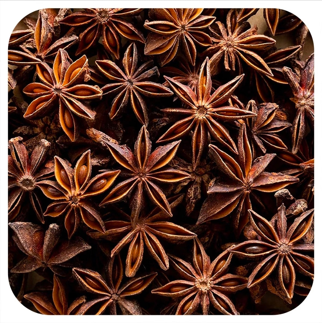 Anise Seed Pods [(Illicium verum]