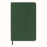 Moleskin - soft cover / plain notebook - green