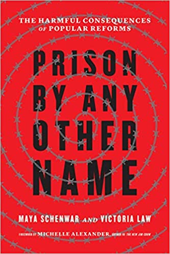 Prison by Any Other Name: The Harmful Consequences of Popular Reforms - Hardcover